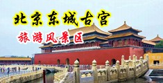 亚洲美女在床上干鸡中国北京-东城古宫旅游风景区